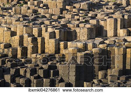 Stock Image - Basaltsaulen am der Kuste, Giant's Causeway, County Antrim, Nordirland, United Kingdom. Fotosearch
