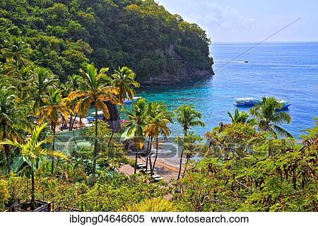 Bay with palm beach of the Anse Chastenet Hotel, Soufriere, St. Lucia, Lesser Antilles, West Indies, Caribbean Islands View Large Photo Image Stock Photography - Bay with palm beach of the Anse Chastenet Hotel, Soufriere, St. Lucia, Lesser Antilles, West Indies, Caribbean Islands. Fotosearch