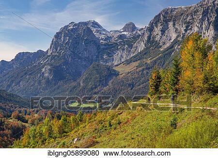 Brine pipeline trail with Reiteralpe, Ramsau, Berchtesgaden Alps, Berchtesgadener Land, Upper Bavaria, Bavaria, Germany, Europe View Large Photo Image Stock Image - Brine pipeline trail with Reiteralpe, Ramsau, Berchtesgaden Alps, Berchtesgadener Land, Upper Bavaria, Bavaria, Germany, Europe. Fotosearch