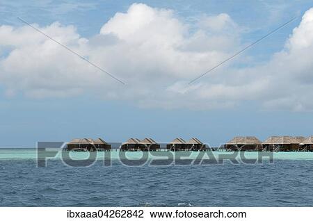Bungalows auf einer tropischen Insel, Rasdhoo-Atoll, Indischer Ozean, Malediven, Asien View Large Photo Image Stock Image - Bungalows auf einer tropischen Insel, Rasdhoo-Atoll, Indischer Ozean, Malediven, Asien. Fotosearch