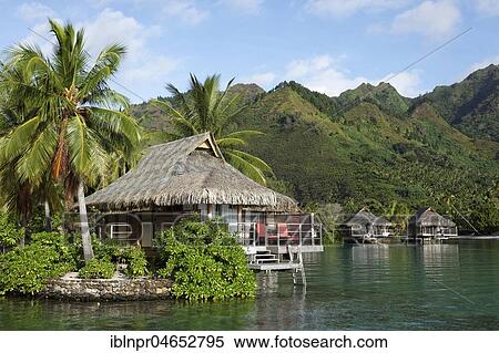 Stock Photography - Bungalows by the sea with palm trees in front of green hills, Luxury Hotel, Interconti Resort, Moorea, Society Islands, Leeward Islands, Pacific Ocean, French Polynesia, Oceania. Fotosearch
