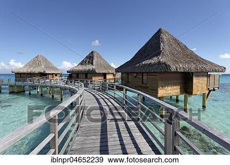 Bungalows, water bungalows with pier in the sea, Pacific Ocean, Hotel KiaOra Resort & Spa, Rangiroa, Society Islands, Windward Islands, French Polynesia, Oceania View Large Photo Image Stock Photo - Bungalows, water bungalows with pier in the sea, Pacific Ocean, Hotel KiaOra Resort & Spa, Rangiroa, Society Islands, Windward Islands, French Polynesia, Oceania. Fotosearch