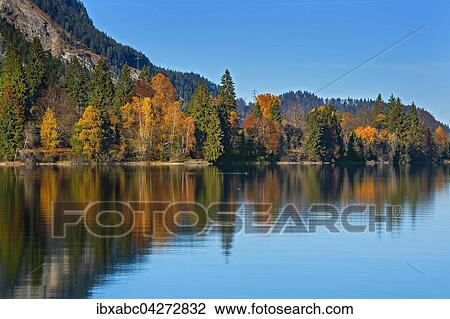 Stock Image - Bunte Herbstlandschaft, Spiegelung im Walchensee, Jachenau, Bayern, Oberbayern, Deutschland, Europa. Fotosearch