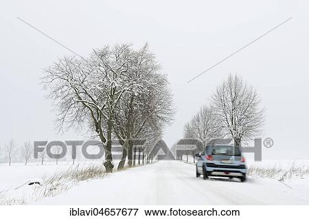 Car drives on snowy road, avenue in winter, Burgenlandkreis, Saxony-Anhalt, Germany, Europe View Large Photo Image Stock Photo - Car drives on snowy road, avenue in winter, Burgenlandkreis, Saxony-Anhalt, Germany, Europe. Fotosearch