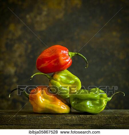Stock Photo - Caribbean pepper Capsicum chinense, studio shot, France, Europe. Fotosearch