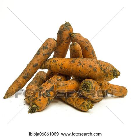 Stock Photo - Carrots on white background, studio shot, France, Europe. Fotosearch