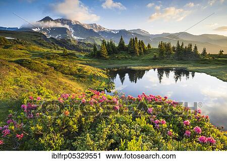 Stock Image - Chalberboden, view of Schwarzhorn, Bern, Bernese Oberland, Switzerland, LOCKED FOR CALENDAR 2020, Europe. Fotosearch