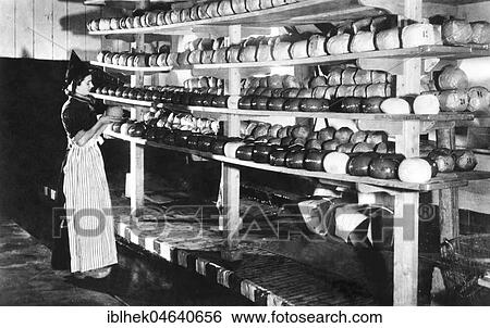 Cheese dairy, 1940s, exact place unknown, Holland View Large Photo Image Stock Photograph - Cheese dairy, 1940s, exact place unknown, Holland. Fotosearch