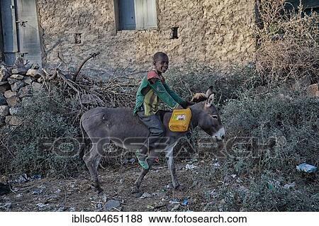 Stock Photo - Child rides on donkey, near Mekele, Tigray region, Ethiopia, Africa. Fotosearch