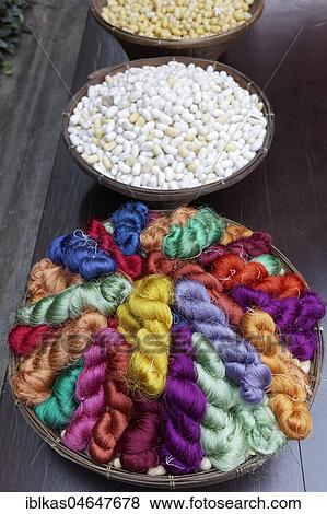 Colored silk in pigtails and white silkworm cocoons, Jim Thompson House, Museum, Pathum Wan, Bangkok, Thailand, Asia View Large Photo Image Stock Photo - Colored silk in pigtails and white silkworm cocoons, Jim Thompson House, Museum, Pathum Wan, Bangkok, Thailand, Asia. Fotosearch