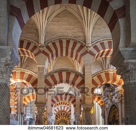 Stock Image - Columned hall with arches in Moorish style, prayer hall of the former mosque, Mezquita-Catedral de Córdoba or Cathedral of the Conception of Our Lady, Córdoba, province of Cordoba, Andalusia, Spain, Europe. Fotosearch