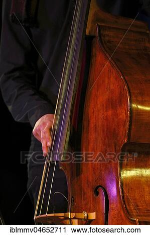 Conrad Steinhoff of the Gerold Heitbaum Quartet plucking on contrabass, Wittenberg, Saxony-Anhalt, Germany, Europe View Large Photo Image Stock Image - Conrad Steinhoff of the Gerold Heitbaum Quartet plucking on contrabass, Wittenberg, Saxony-Anhalt, Germany, Europe. Fotosearch