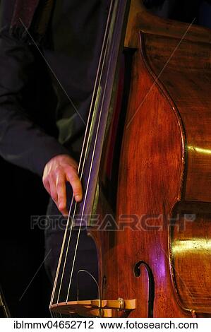 Stock Image - Conrad Steinhoff of the Gerold Heitbaum Quartet plucking on contrabass, Wittenberg, Saxony-Anhalt, Germany, Europe. Fotosearch