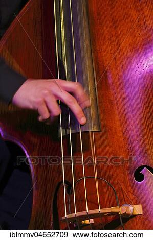 Stock Photo - Conrad Steinhoff of the Gerold Heitbaum Quartet plucking on contrabass, Wittenberg, Saxony-Anhalt, Germany, Europe. Fotosearch