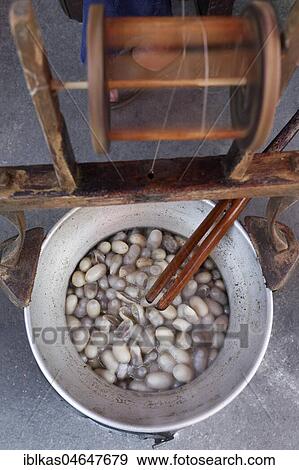 Cooking silkworm cocoons, traditional silk production, Jim Thompson House, Museum, Pathum Wan, Bangkok, Thailand, Asia View Large Photo Image Stock Photo - Cooking silkworm cocoons, traditional silk production, Jim Thompson House, Museum, Pathum Wan, Bangkok, Thailand, Asia. Fotosearch