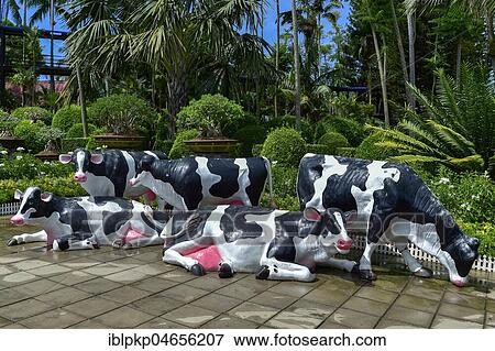 Stock Photo - Cow figures, Nong Nooch Tropical Botanical Garden, Pattaya, Thailand, Asia. Fotosearch