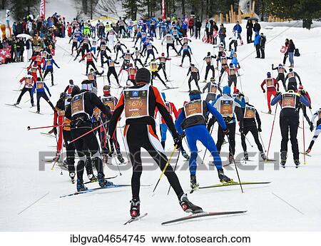 Cross-country skiers at the Engadin Skimarathon in the Stazer Wald, 50th Engadine Skimarathon, St. Moritz, Switzerland, Europe View Large Photo Image Stock Photography - Cross-country skiers at the Engadin Skimarathon in the Stazer Wald, 50th Engadine Skimarathon, St. Moritz, Switzerland, Europe. Fotosearch