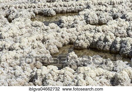 Crust of salt in Assale Salt Lake, Lake Assale, Danakil Desert, Afar Provinces, Ethiopia, Africa View Large Photo Image Stock Image - Crust of salt in Assale Salt Lake, Lake Assale, Danakil Desert, Afar Provinces, Ethiopia, Africa. Fotosearch