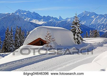 Stock Photograph - Deeply snow-covered mountain hut, in the back summit Dom 4545m, Matterhorn 4478m and Weisshorn 4505m, Riederalp, Aletsch area, Upper Valais, Valais, Switzerland, Europe. Fotosearch