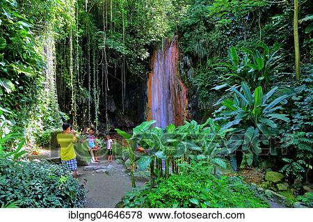 Diamond Waterfall in the Botanical Garden with tropical vegetation, Soufriere, St. Lucia, Lesser Antilles, West Indies, Caribbean Islands View Large Photo Image Stock Photo - Diamond Waterfall in the Botanical Garden with tropical vegetation, Soufriere, St. Lucia, Lesser Antilles, West Indies, Caribbean Islands. Fotosearch