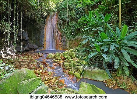 Diamond Waterfall in the Botanical Garden with tropical vegetation, Soufriere, St. Lucia, Lesser Antilles, West Indies, Caribbean Islands View Large Photo Image Stock Photo - Diamond Waterfall in the Botanical Garden with tropical vegetation, Soufriere, St. Lucia, Lesser Antilles, West Indies, Caribbean Islands. Fotosearch
