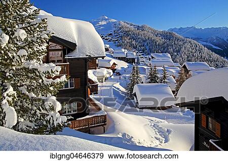 Stock Photo - District Alpmatten, snow covered, Bettmeralp, Aletsch area, Upper Valais, Valais, Switzerland, Europe. Fotosearch