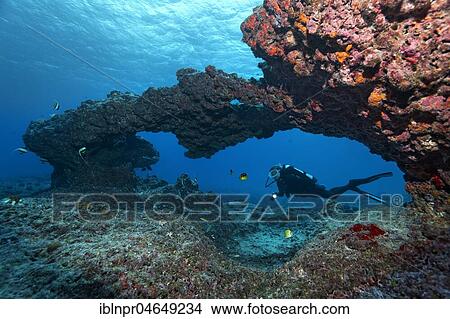 Diver diving through coral reef, gate, breakthrough, Pacific Ocean, French Polynesia, Oceania View Large Photo Image Picture - Diver diving through coral reef, gate, breakthrough, Pacific Ocean, French Polynesia, Oceania. Fotosearch
