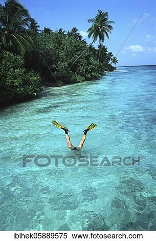 Stock Photography - Diving, fins, legs, Maldives, Asia. Fotosearch