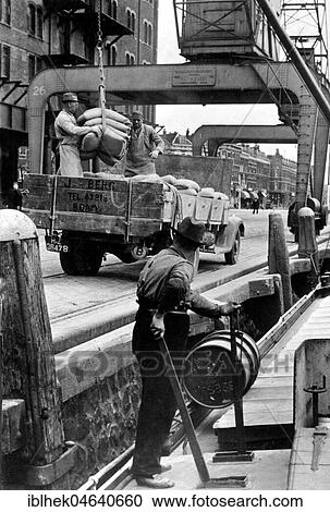 Stock Image - Dock worker, Unloading of a ship, 1950s, exact location unknown, Germany, Europe. Fotosearch