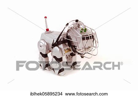 Picture - Dog, robot dog with muzzle, Berlin, Germany, Europe. Fotosearch