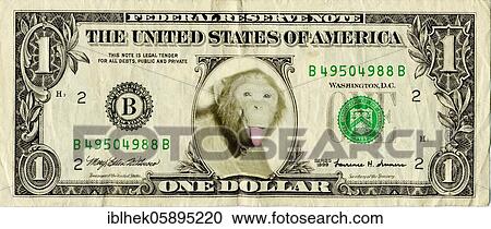 Dollar, bill, currency, monkey, parody, funny View Large Photo Image Stock Image - Dollar, bill, currency, monkey, parody, funny. Fotosearch