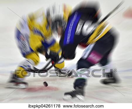 Eishockeyspieler bei einem Bully, Bern, Schweiz, Europa View Large Photo Image Stock Photo - Eishockeyspieler bei einem Bully, Bern, Schweiz, Europa. Fotosearch