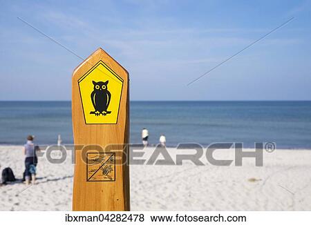 Stock Photo - Eule als Symbol fur Nationalpark, Weststrand an der Ostsee, Born am Darss, Fischland-Darss-Zingst, Nationalpark Vorpommersche Boddenlandschaft, Mecklenburg-Vorpommern, Deutschland, Europa. Fotosearch
