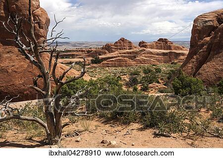 Felsformationen am Devils Garden Trailhead, Arches National Park, Utah, USA, Nordamerika View Large Photo Image Stock Image - Felsformationen am Devils Garden Trailhead, Arches National Park, Utah, USA, Nordamerika. Fotosearch