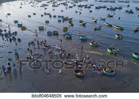 Fishermen on the beach with freshly caught fish, many colourful fishing boats in the sea, aerial view, near Mui Ne, Vietnam, Asia View Large Photo Image Stock Photography - Fishermen on the beach with freshly caught fish, many colourful fishing boats in the sea, aerial view, near Mui Ne, Vietnam, Asia. Fotosearch