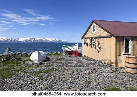 Fishing hut with boats and sea, behind the Eyjafördur and snow-covered mountains of the peninsula Tröllaskagi, Grenivik, Northern Iceland, Iceland, Europe View Large Photo Image Picture - Fishing hut with boats and sea, behind the Eyjafördur and snow-covered mountains of the peninsula Tröllaskagi, Grenivik, Northern Iceland, Iceland, Europe. Fotosearch