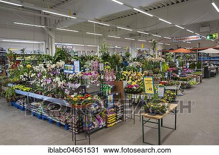 Flowering spring flowers, plants, garden centre, interior, Bavaria, Germany, Europe View Large Photo Image Stock Image - Flowering spring flowers, plants, garden centre, interior, Bavaria, Germany, Europe. Fotosearch