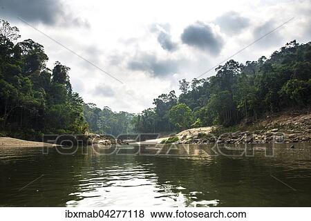 Stock Photo - Fluss Sungai Tembeling, Regenwald, Dschungel, Kuala Tahan, Taman Negara Nationalpark, Malaysia, Asien. Fotosearch