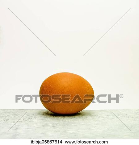 Fresh egg, studio shot, France, Europe View Large Photo Image Picture - Fresh egg, studio shot, France, Europe. Fotosearch