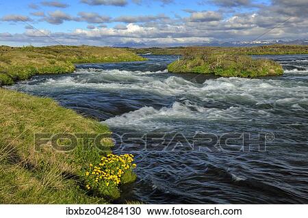 Stock Image - Fruhling an der Laxa, Lachsfluss, Myvatn-Gebiet, Island, Europa. Fotosearch