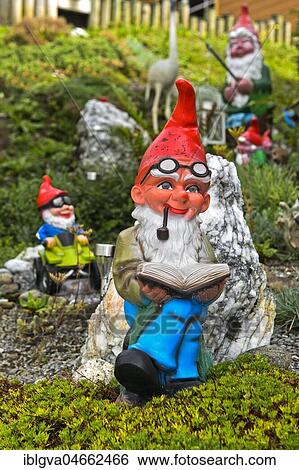 Garden gnome with beard and pipe reads a book, Engelberg, Canton Obwalden, Switzerland, Europe View Large Photo Image Stock Photograph - Garden gnome with beard and pipe reads a book, Engelberg, Canton Obwalden, Switzerland, Europe. Fotosearch