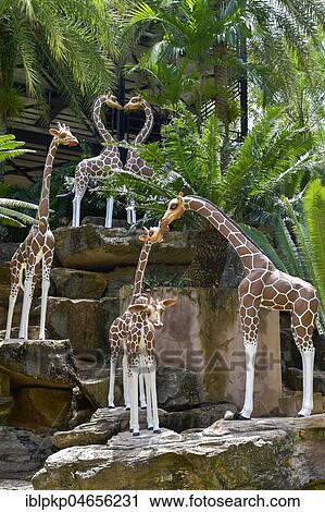 Stock Image - Giraffe figures, Nong Nooch Tropical Botanical Garden, Pattaya, Thailand, Asia. Fotosearch