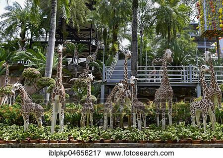 Stock Photo - Giraffe figures, Nong Nooch Tropical Botanical Garden, Pattaya, Thailand, Asia. Fotosearch