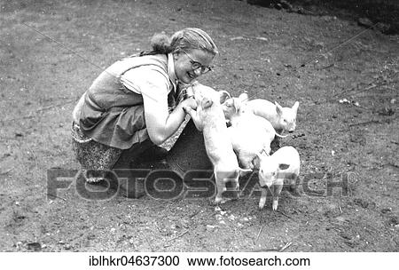 Stock Image - Girl with pigs, 1950s, ca. 1959, exact place unknown, Germany, Europe. Fotosearch
