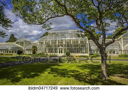 Stock Photo - Greenhouse from 1849 in the botanical garden, also called Curvilinear Range, architect Richard Turner, Dublin, Ireland, Europe. Fotosearch