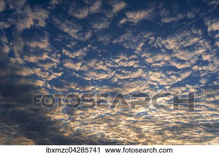 Stock Image - Grosse Schafchenwolken (Altocumulus) am Abendhimmel, Bayern, Deutschland, Europa. Fotosearch