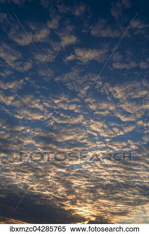 Grosse Schafchenwolken (Altocumulus) am Abendhimmel, Bayern, Deutschland, Europa View Large Photo Image Stock Photography - Grosse Schafchenwolken (Altocumulus) am Abendhimmel, Bayern, Deutschland, Europa. Fotosearch