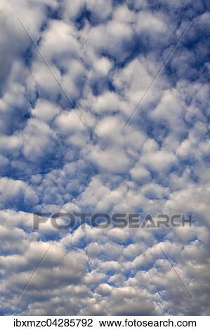 Stock Image - Grosse Schafchenwolken (Altocumulus), Bayern, Deutschland, Europa. Fotosearch