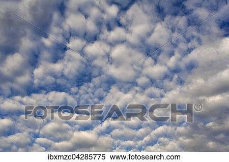Grosse Schafchenwolken (Altocumulus), Bayern, Deutschland, Europa View Large Photo Image Stock Photography - Grosse Schafchenwolken (Altocumulus), Bayern, Deutschland, Europa. Fotosearch