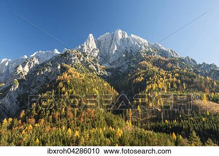 Stock Image - Grosser Odstein im Herbst, Nationalpark Gesause, Steiermark, Osterreich, Europa. Fotosearch